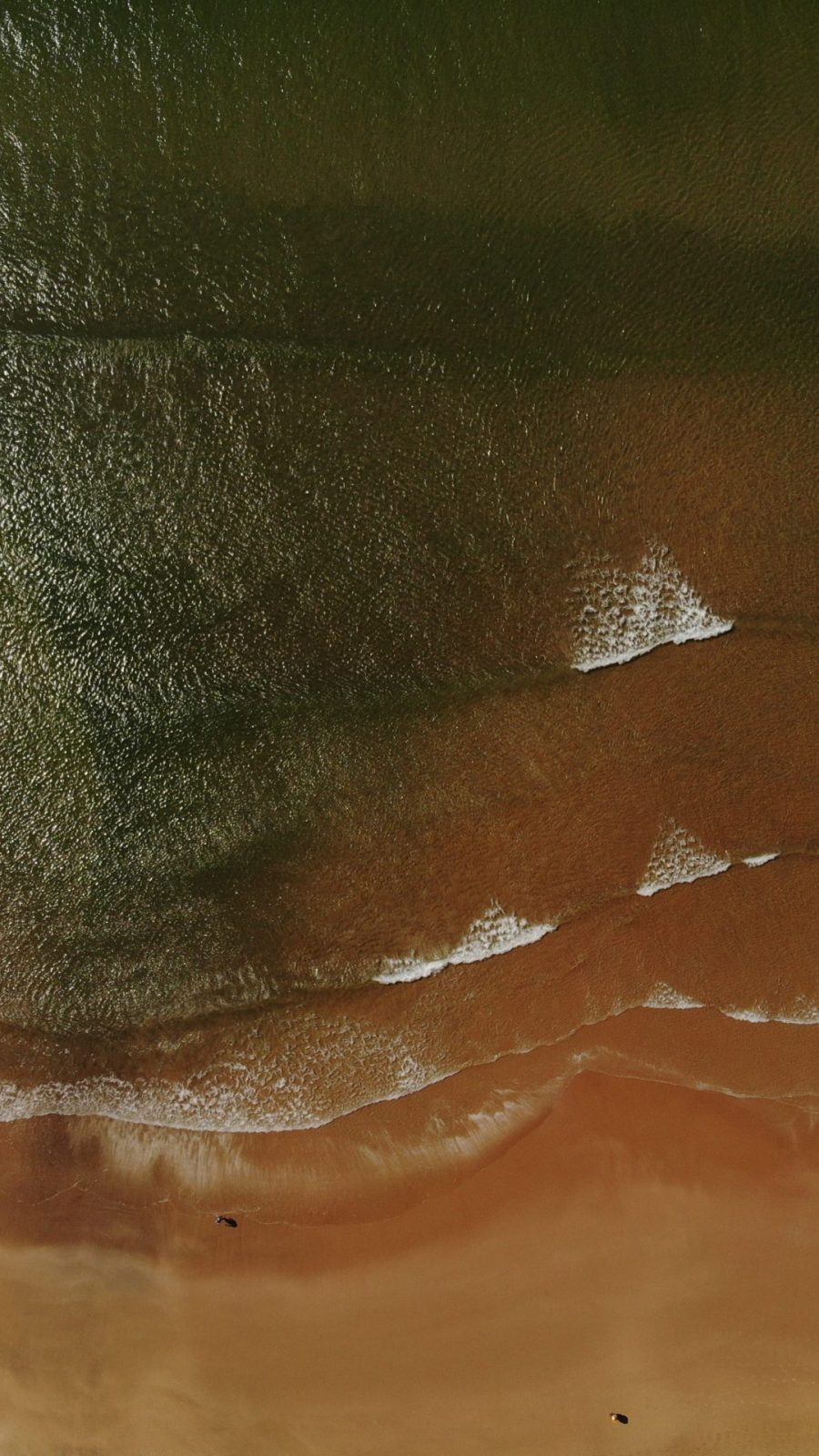 bernd-dittrich-uTxlV98T7hM-unsplash