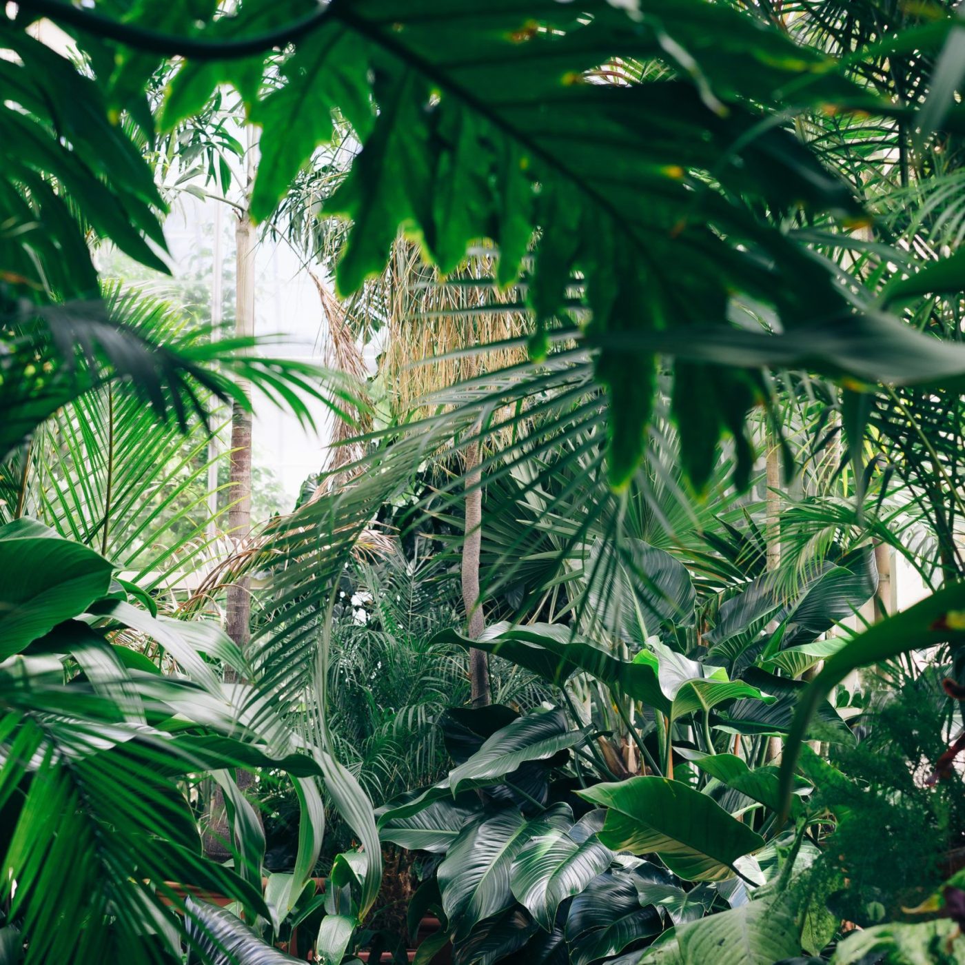 chris-abney-qLW70Aoo8BE-unsplash chris-abney-qLW70Aoo8BE-unsplash